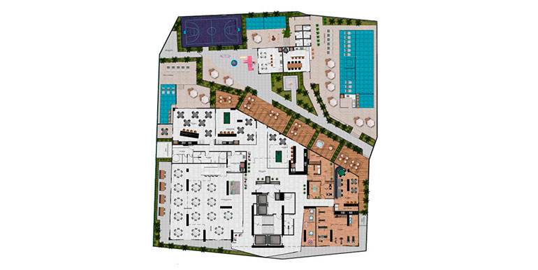 Projeção 15 da propriedade