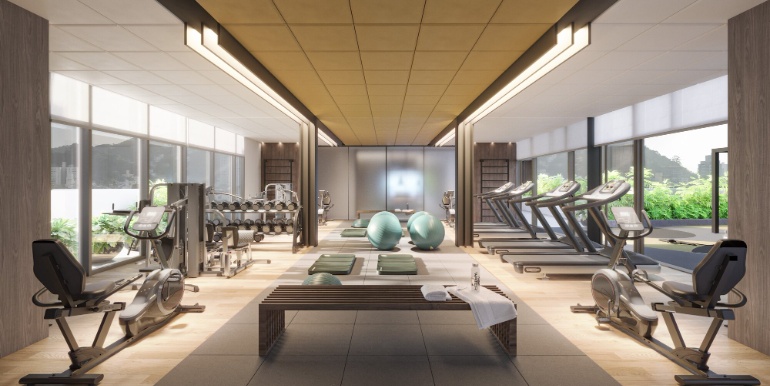 Projeção 15 da propriedade