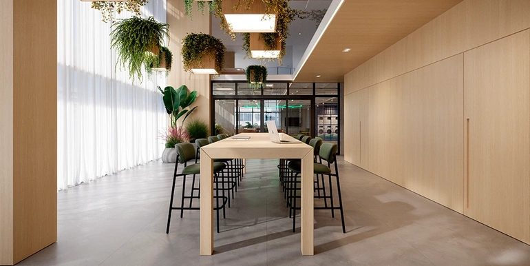 Projeção 15 da propriedade