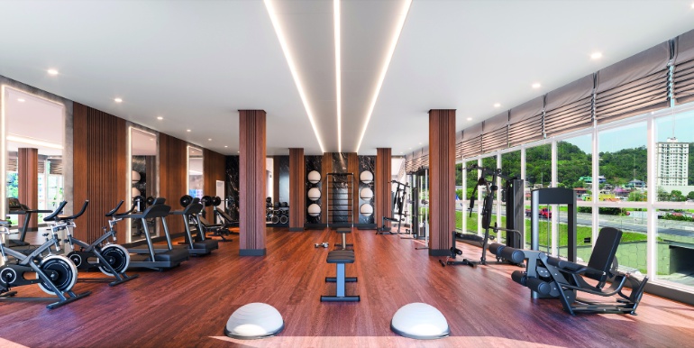 Projeção 15 da propriedade