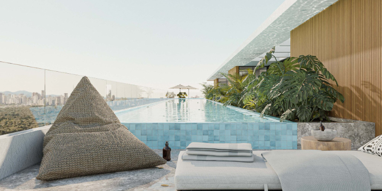 Figura 5 do  Videiras em Porto Belo